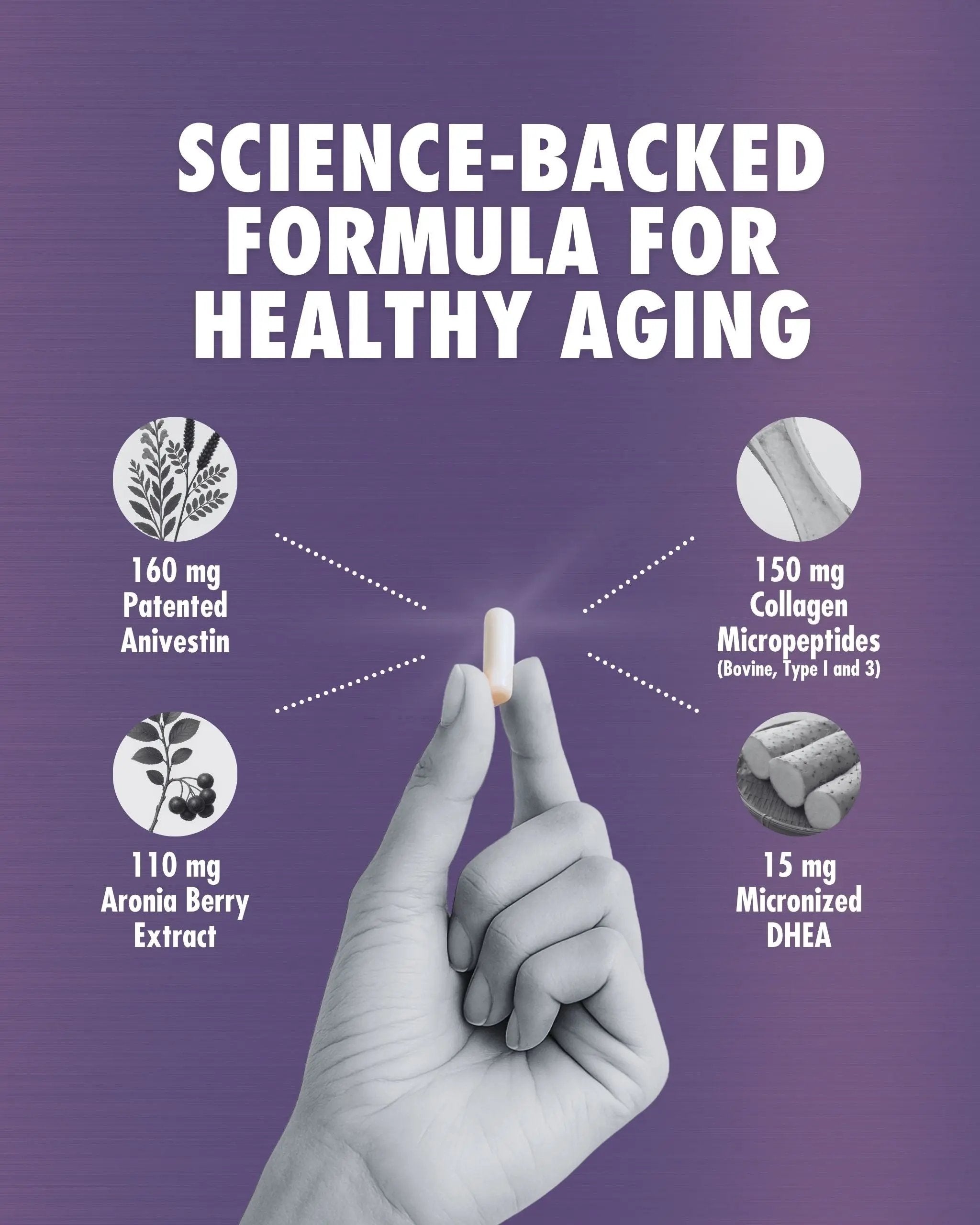 RenuVite® Anti-Aging 4 Dogs Health Direct - Science-Backed Formula for Health Aging